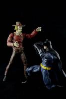 Batman the Animated Series Inspired Scarecrow (DC Universe) Custom Action Figure
