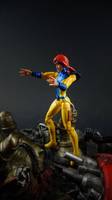 Jim Lees Jean Grey (Marvel Universe) Custom Action Figure