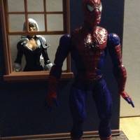 Spider-Man (Marvel Legends) Custom Action Figure