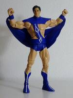 BLACK CONDOR I Freedom Fighter Member (DC Universe) Custom Action Figure