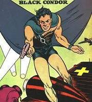 BLACK CONDOR I Freedom Fighter Member (DC Universe) Custom Action Figure