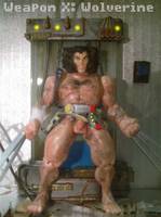 Subjects of Weapon X (Marvel) Custom Action Figure