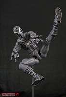Negative Zone Spider-Man (Marvel Legends: City of Heroes) Custom Action Figure