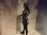 Catwoman ( My Design ) (DC Universe) Custom Action Figure