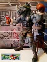 Teenage Mutant Street Fighter Turtles..Balroc-Steady (Teenage Mutant Ninja Turtles) Custom Action Figure