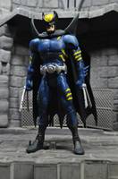 Darkclaw (DC Universe) Custom Action Figure