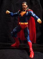 Super Reigns (Wrestling) Custom Action Figure