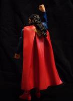 Super Reigns (Wrestling) Custom Action Figure