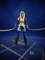 Shi'ar Warbird (Marvel Universe) Custom Action Figure
