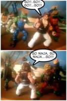 Teenage Mutant Street Fighter Turtles..Vanilla Dan SDCC Exclusive (Teenage Mutant Ninja Turtles) Custom Action Figure