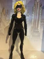 The Canary, Arrow (DC Universe) Custom Action Figure