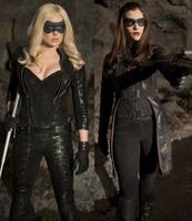 The Canary, Arrow (DC Universe) Custom Action Figure