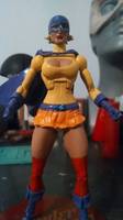 The Pro (DC Direct) Custom Action Figure