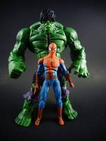 Hulk (Marvel Universe) Custom Action Figure
