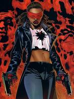 CRIMSON AVENGER II Jill Carlyle Justice Society of America Member (Young Justice) Custom Action Figure
