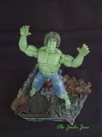 Lou Ferrigno, the Incredible Hulk (Incredible Hulk) Custom Action Figure