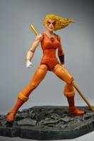 Thundercats (Thundercats) Custom Action Figure