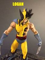 Logan the Wolverine (Marvel Legends) Custom Action Figure