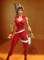 Zealot (Wildcats) (Image) Custom Action Figure