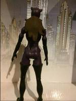 Catwoman ( 90s ) (Batman) Custom Action Figure