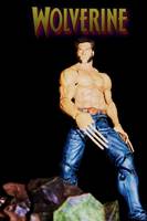 Wolverine DAYS of FUTURE past (X-Men - Movies) Custom Action Figure