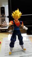 S. H. Figuarts Super Vegito (Dragonball Z) Custom Action Figure