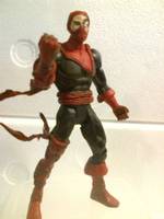 The Weird (DC Universe) Custom Action Figure