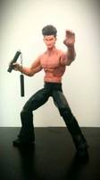 Jann Lee/ Dead or Alive 3 the Bouncer (Dead or Alive) Custom Action Figure