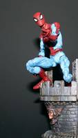 Spiderman (Marvel Legends) Custom Action Figure