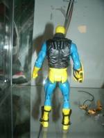 DC Universe Classics Guardian (DC Universe) Custom Action Figure