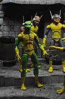 Frog-Man - the Ani-Men (Marvel Legends) Custom Action Figure