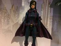Huntress ( 90s Birds of Prey ) (Batman) Custom Action Figure