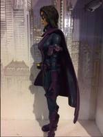 Huntress ( 90s Birds of Prey ) (Batman) Custom Action Figure