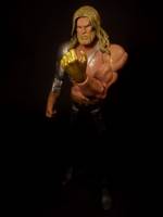 DCU Signature Aquaman Modifications (DC Universe) Custom Action Figure