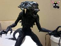 Praetorian Guard Alien (Aliens) Custom Action Figure