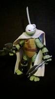 Oni the Hidden Turtle (Teenage Mutant Ninja Turtles) Custom Action Figure