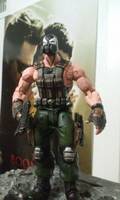 Bane: the Masked Man (DC Universe) Custom Action Figure