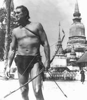 Jock Mahoney, Tarzan (Tarzan) Custom Miniature / Figurine