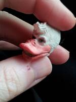 Custom Marvel Legends Six Inch Howard the Duck Action Figure (Marvel Legends) Custom Action Figure