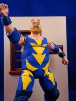 Raiden (Bear) (Fatal Fury) Custom Action Figure
