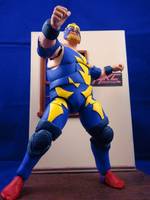 Raiden (Bear) (Fatal Fury) Custom Action Figure