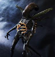 Aliens Armada: the Bolaji (Aliens) Custom Statue / Bust