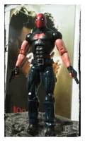 Red Hood (Alternate Costume) (DC Universe) Custom Action Figure