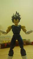 S.H.Figuarts Buu Saga Vegeta (Dragonball Z) Custom Action Figure