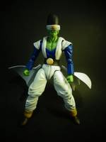 S.H Figaurts Pikkon (Dragonball Z) Custom Action Figure