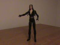 Catwoman (Batman - Dark Knight Rises) Custom Action Figure