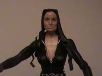 Catwoman (Batman - Dark Knight Rises) Custom Action Figure