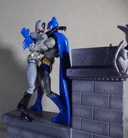 Animated Catwoman (DC Universe) Custom Action Figure