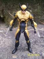 Marvel Now Wolverine (Marvel Universe) Custom Action Figure