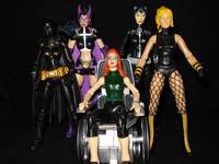 Black Canary (DC Universe) Custom Action Figure